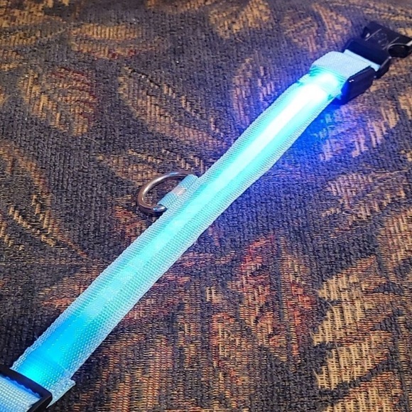 New LED Blue Dog Collar– Solid or Flashing Dog Collar- Size Large - Picture 2 of 11